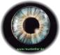 Preview: Ohrstecker Iris Auge Blaugrau | Edelstahl  | Glas Cabochon | Silber
