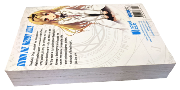 Arifureta - From Commonplace to World's Strongest - Light Novel - Vol.2