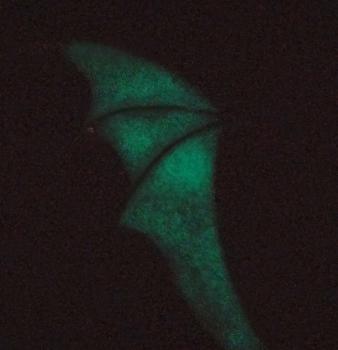 The Night With ✌ Ohr Clip Ohrring ✌ Fledermaus ✌ Alchemy Gothic ✌ Fluoreszierend