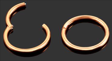Segement Ring - Helix - Nasen Piercing - Septum Ring Rose Gold - Titan 16G - 8mm