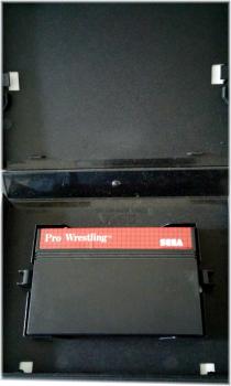 Pro Wrestling  Sega Master System