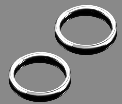 Segement Ring - Helix - Nasen Piercing - Septum Ring Silber - Titan 16G - 8mm