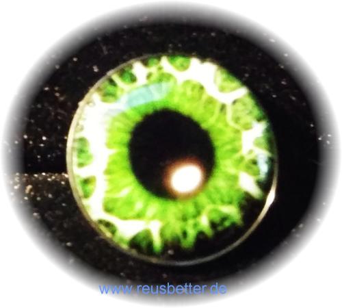 Edelstahl Ohrstecker ✿ Reptil Augen Grün ✿ Cabochon